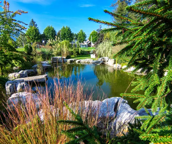 Custom Ponds
