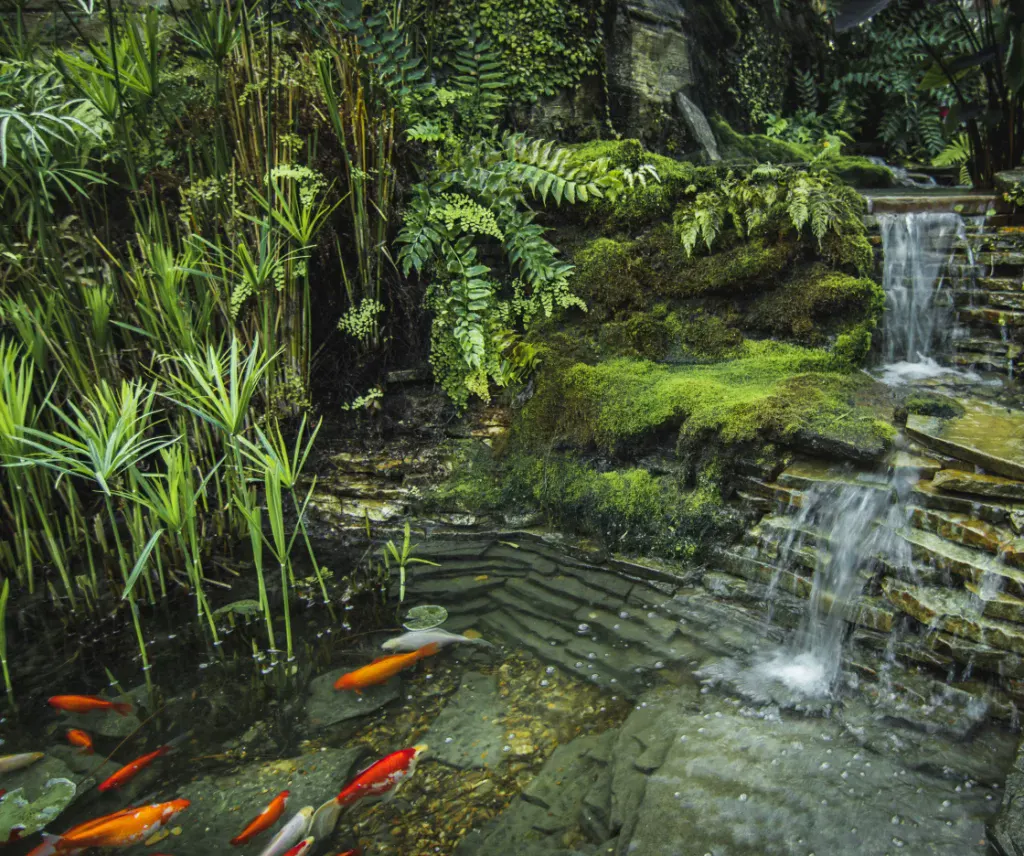 Pond Maintenance in Kansas City