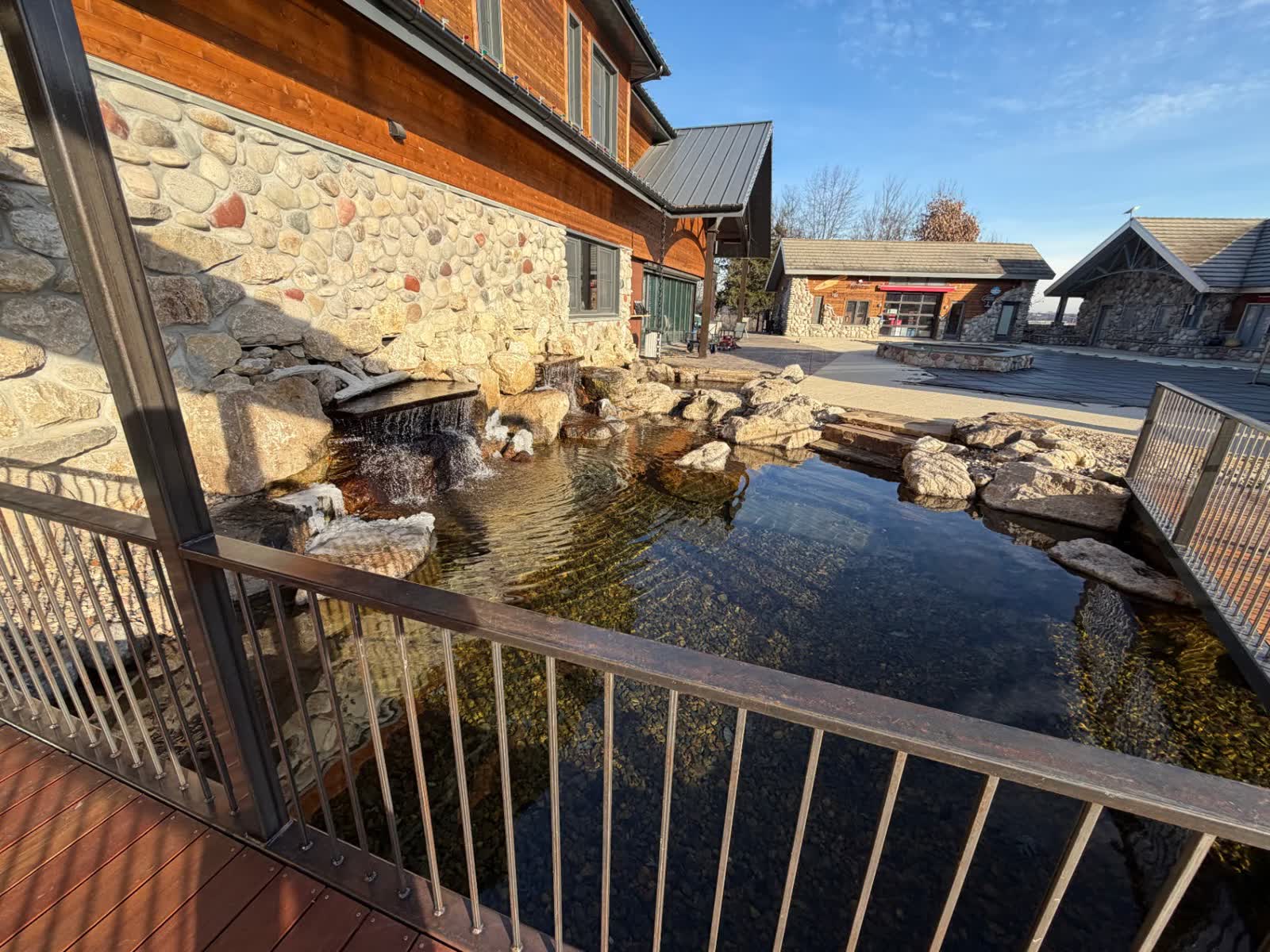 Natural swim pond design with surrounding landscape