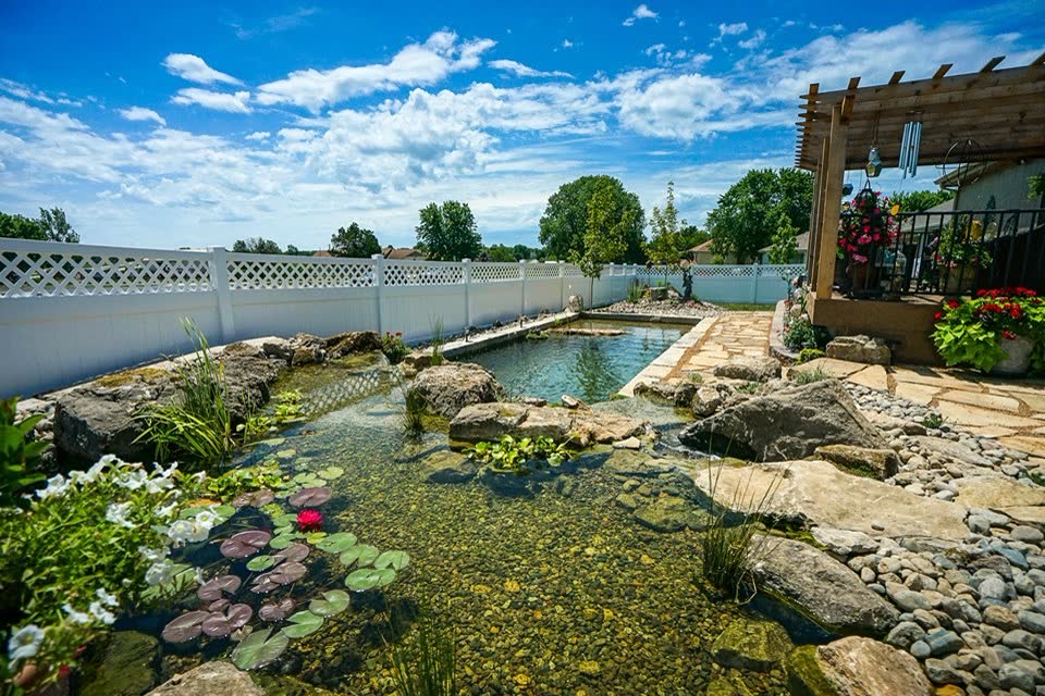 Compact swim pond with lily pads and pergola