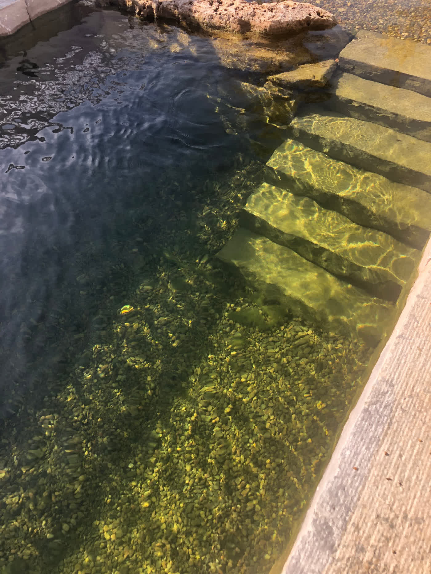 Crystal-clear swim pond water with natural stone steps