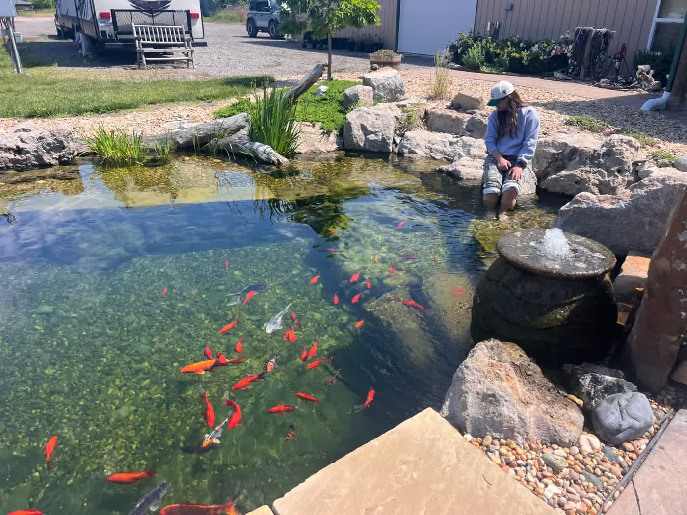 Swim pond with koi fish and bubbling fountain feature