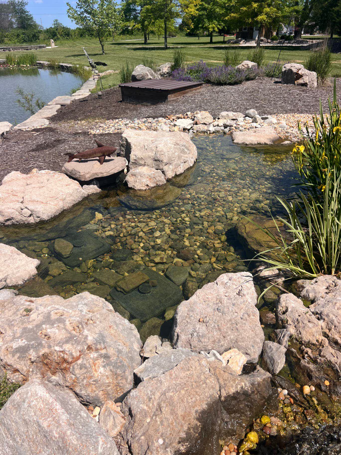 Crystal-clear swim pond with boulder edges and fish sculpture