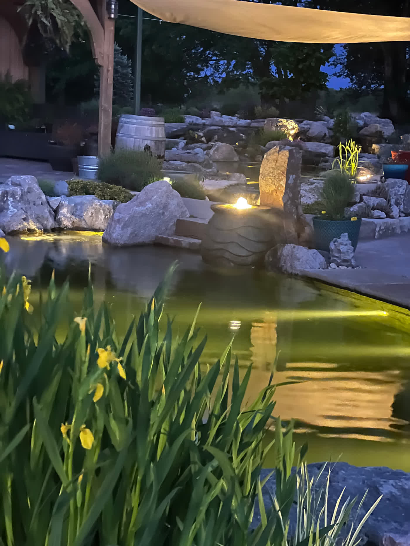 Evening view of illuminated swim pond with fountain