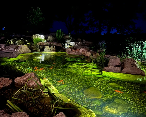 Pond Winterization in Kansas City