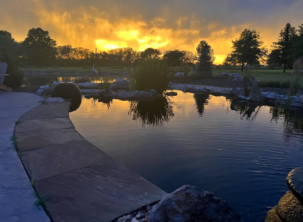 A natural pond at sunset.