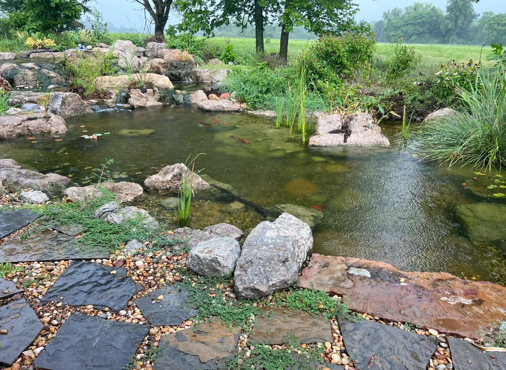 Plants surround a small pond.