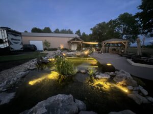 Koi pond with aquatic plants and waterfall feature in Bentonville backyard