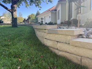 Garden with stone wall and tree near house.